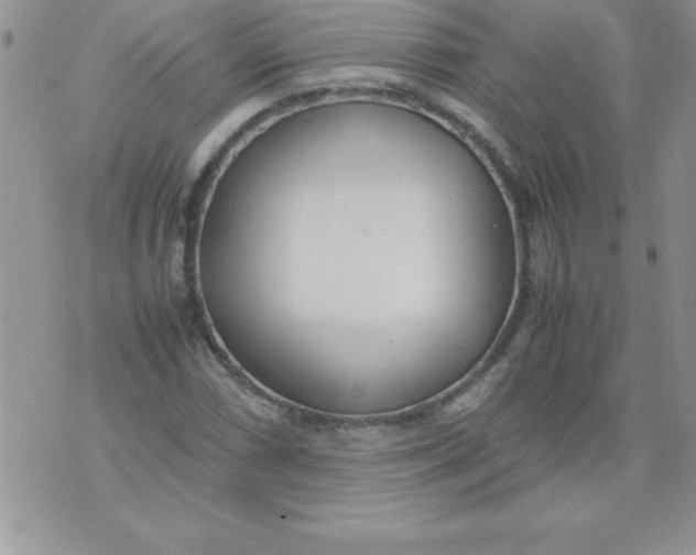 X0000071951066200607282002