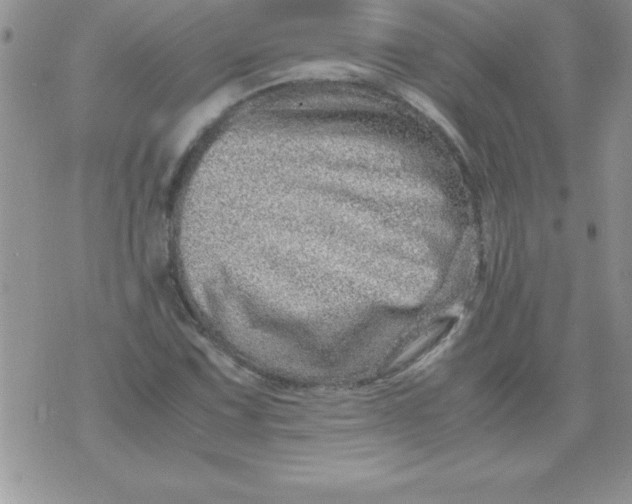 X0000071951067200607282002