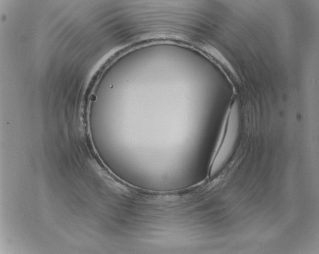 X0000071951068200607282002