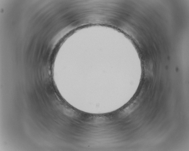 X0000071951070200607282002