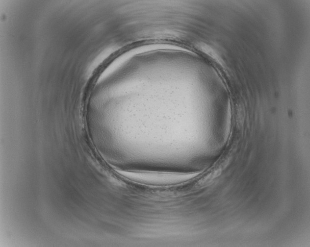 X0000071951071200607282002