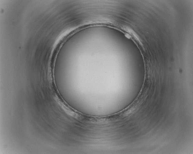 X0000071951072200607282002