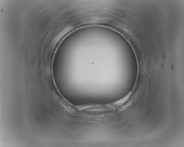 X0000071951073200607282002