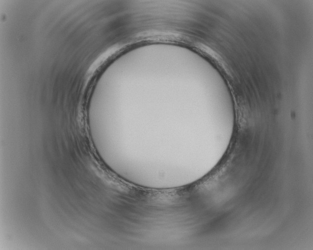 X0000071951074200607282002