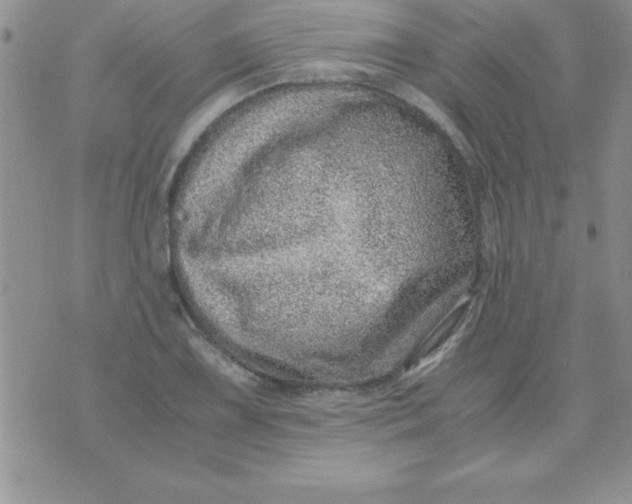 X0000071951075200607282002