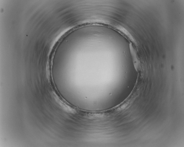 X0000071951076200607282002