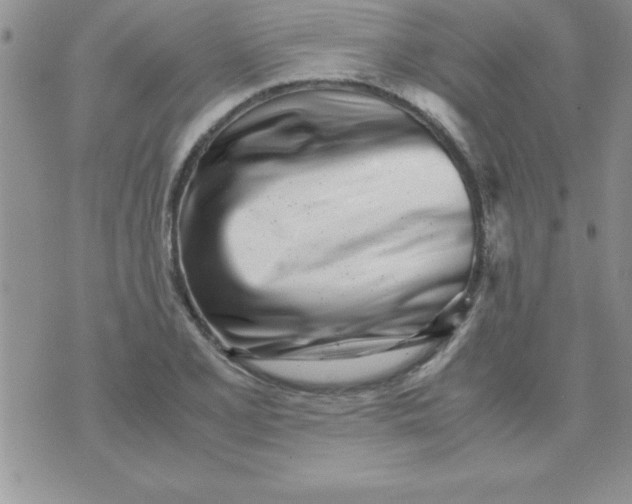 X0000071951077200607282002