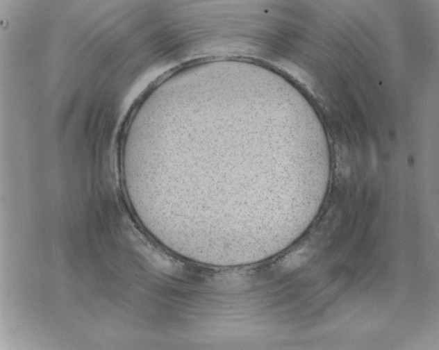 X0000071951078200607282002