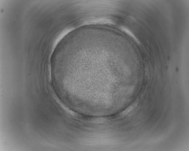 X0000071951079200607282002