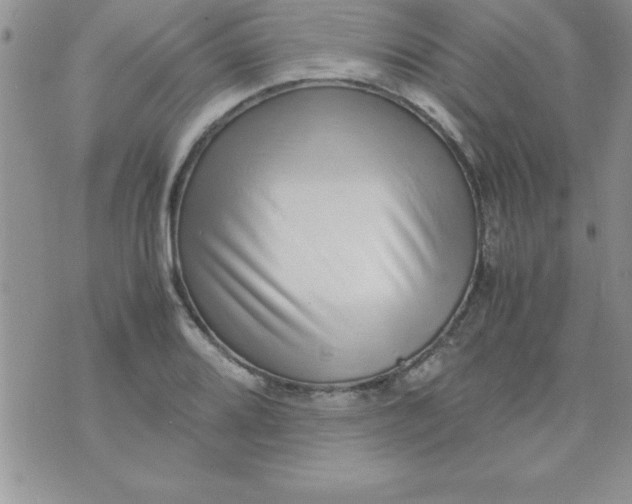 X0000071951080200607282002