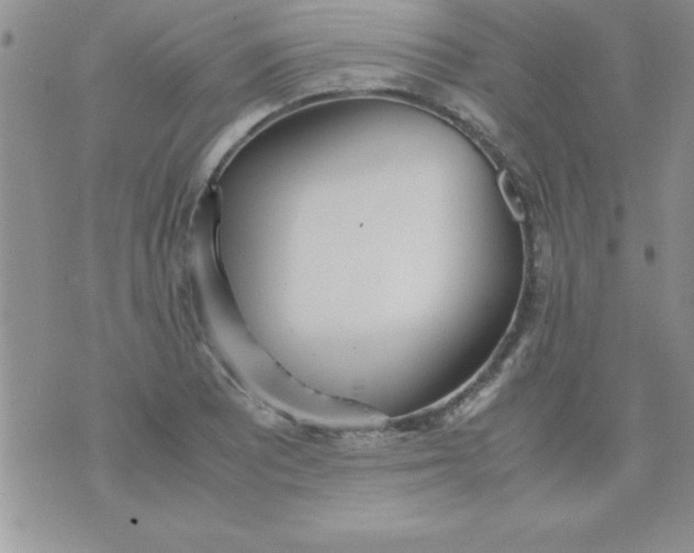 X0000071951081200607282002