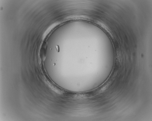 X0000071951082200607282002