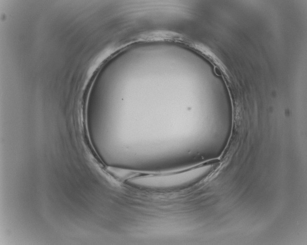 X0000071951083200607282002