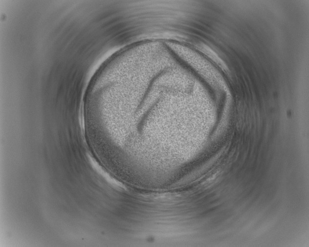 X0000071951084200607282002