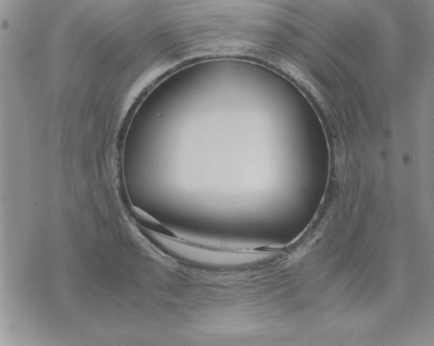 X0000071951085200607282002