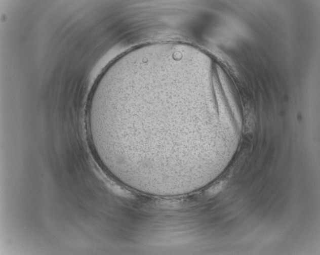 X0000071951086200607282002