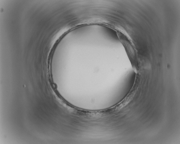 X0000071951087200607282002