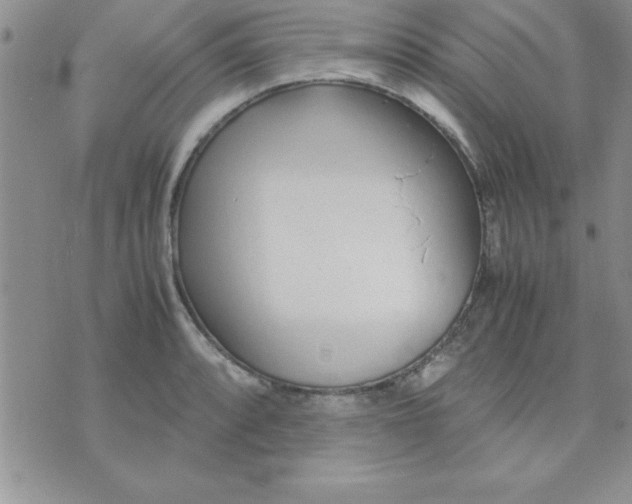 X0000071951088200607282002