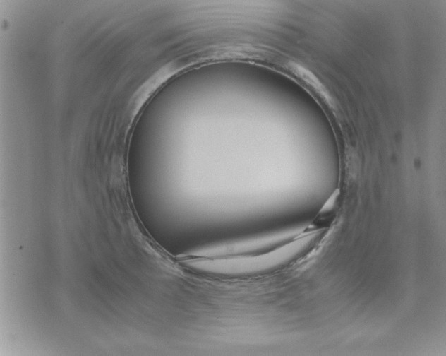 X0000071951089200607282002