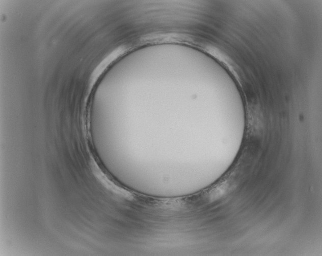 X0000071951090200607282002