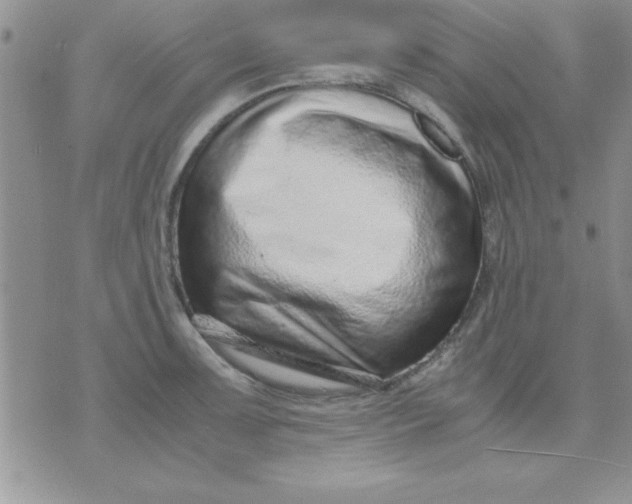 X0000071951091200607282002