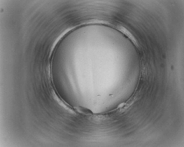 X0000071951092200607282002