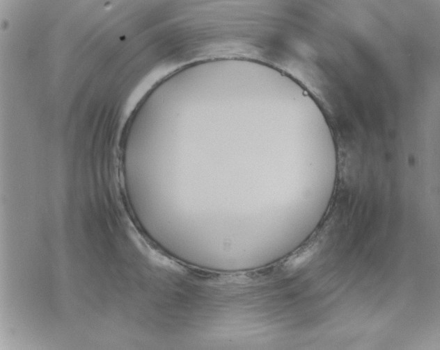 X0000071951094200607282002