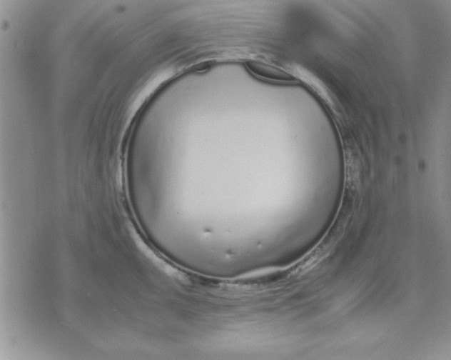 X0000071951095200607282002