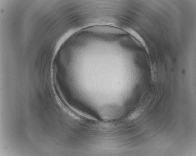 X0000071951096200607282002