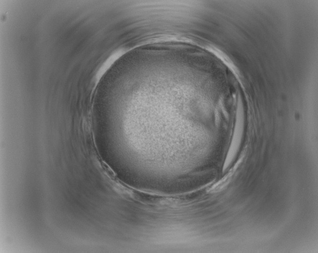 X0000071951097200607282002