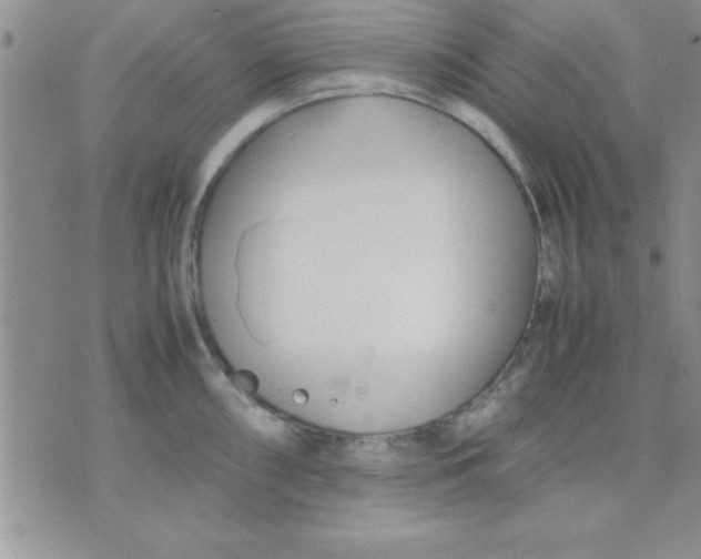 X0000071951098200607282002