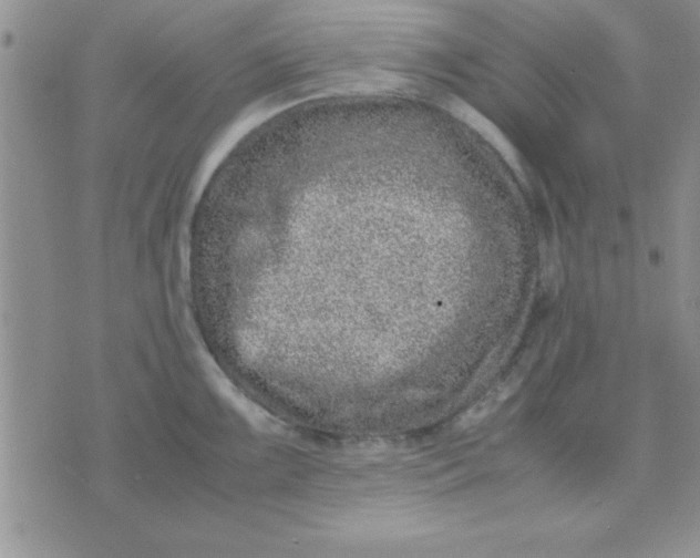 X0000071951099200607282002