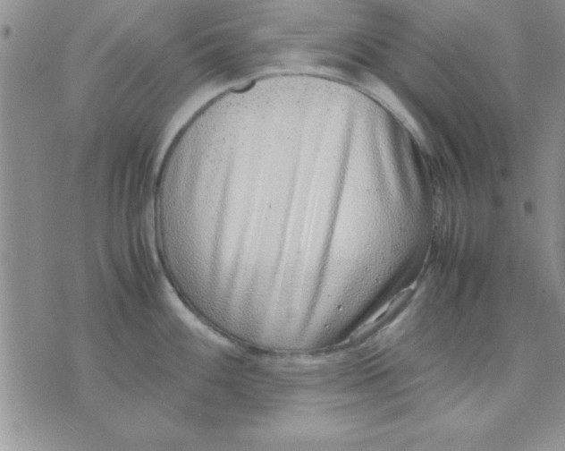 X0000071951100200607282002