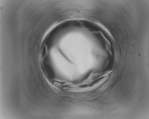 X0000071951101200607282002