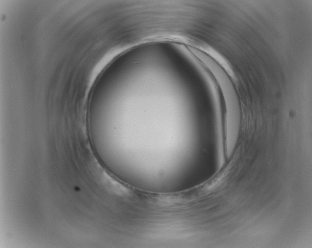 X0000071951102200607282002