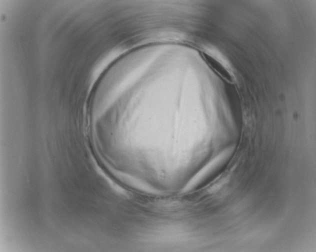 X0000071951103200607282002