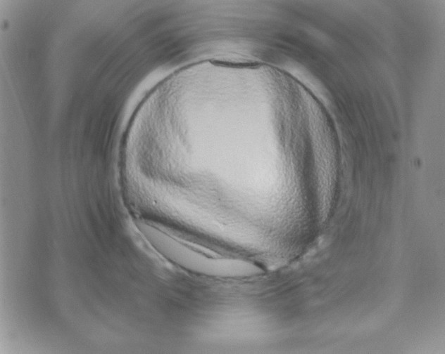 X0000071951104200607282002