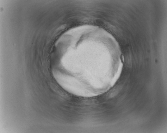 X0000071951105200607282001