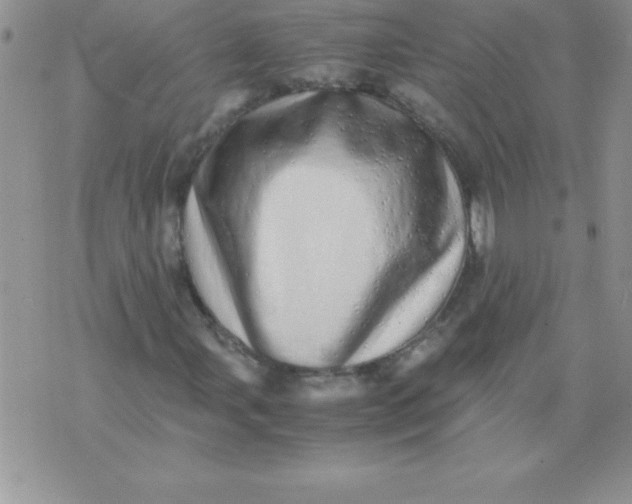 X0000071951107200607282001