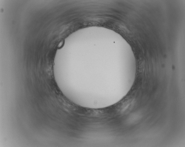 X0000071951109200607282001