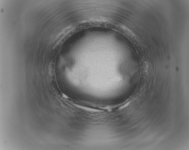 X0000071951110200607282001