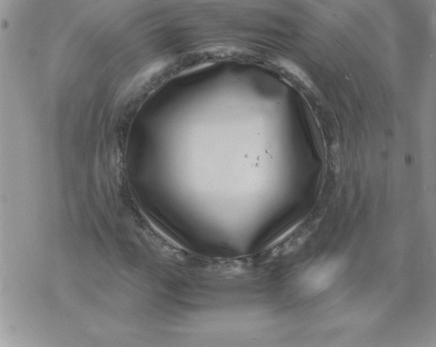 X0000071951111200607282001