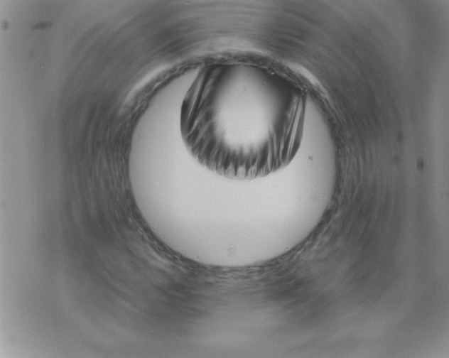 X0000071951112200607282001