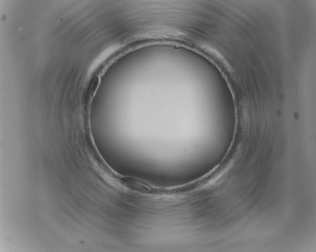 X0000071951114200607282001