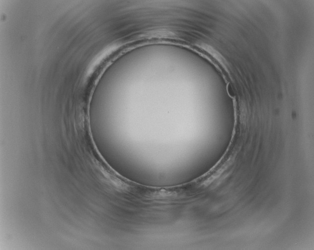 X0000071951115200607282001