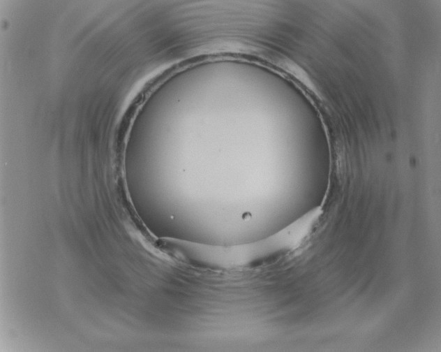 X0000071951116200607282001