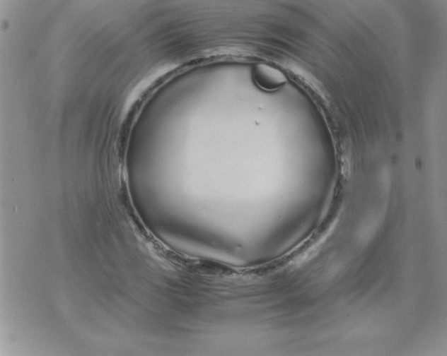 X0000071951117200607282001