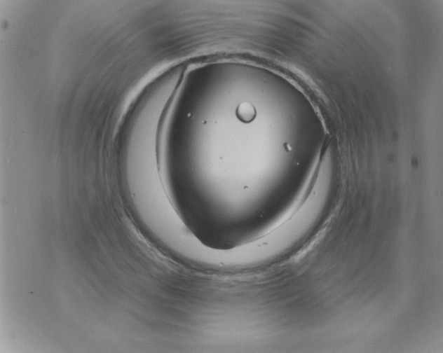 X0000071951118200607282001