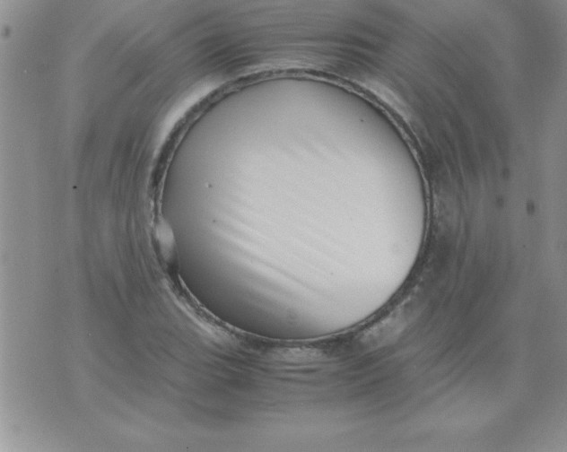 X0000071951119200607282001