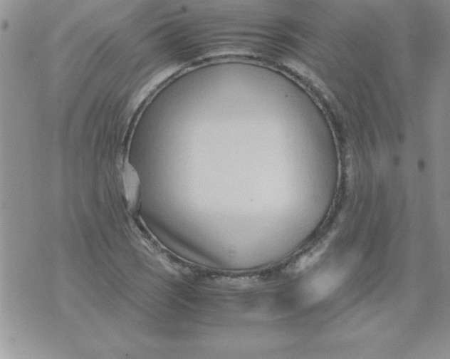 X0000071951121200607282001